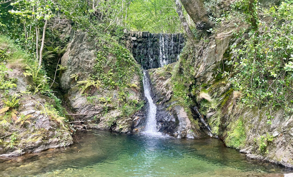 BERGERIE_ Le gour